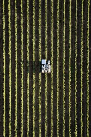 agriculture